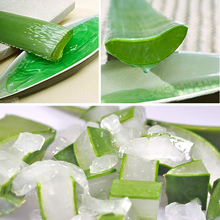 5Pcs Best selling Natural Concentrated Aloe vera gel 13g Oil Control moisturizing Anti acne Skin care