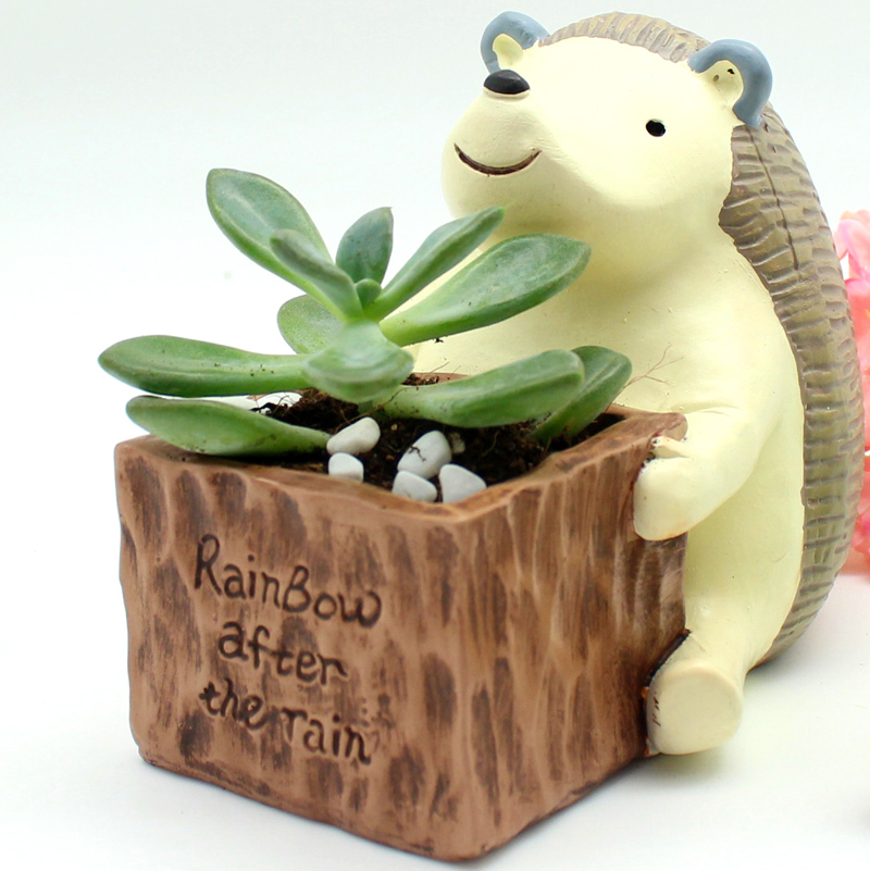 Compra jardín creativo online al por mayor de china ... Jardín creativo Decoración