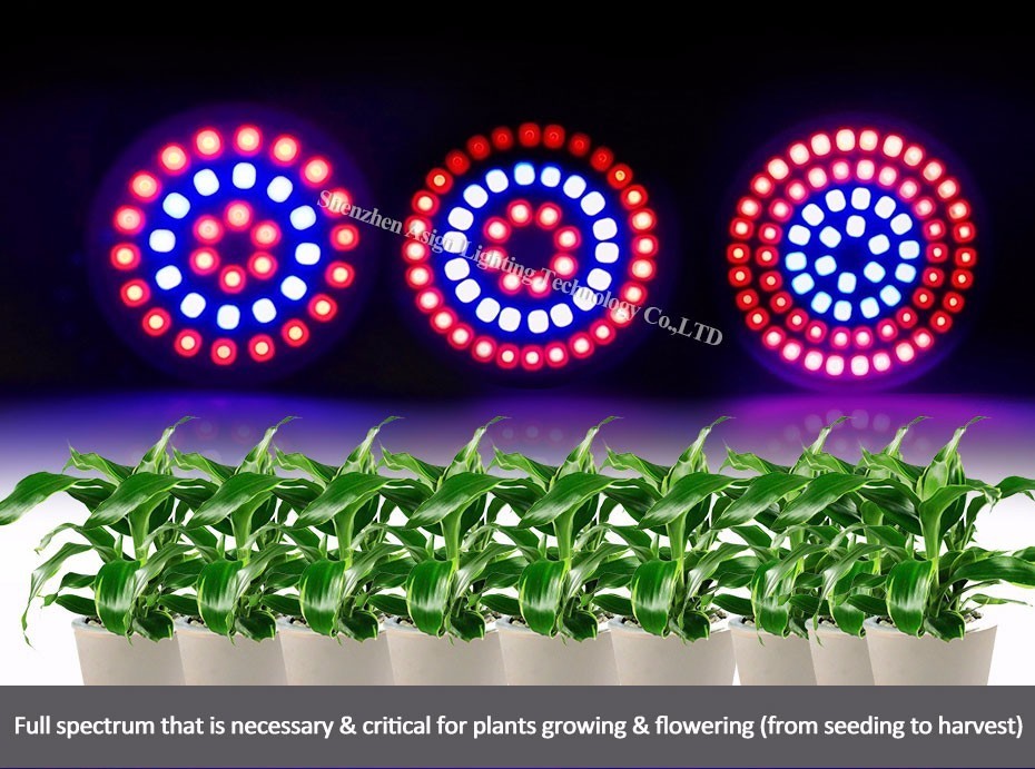 Description Picture 4 of itemFull Spectrum E27 220V GU10 MR16 LED Phyto Lamp IR UV Plant Grow Light Bulb Fitolampy For Indoor Garden Plant Flower Hydroponics