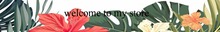 HTB1D5ndPXXXXXc6XXXXq6xXFXXXm