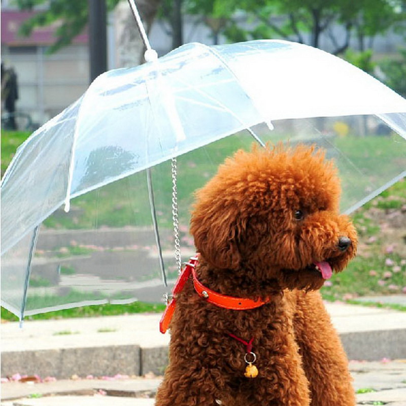зонтик от дождя