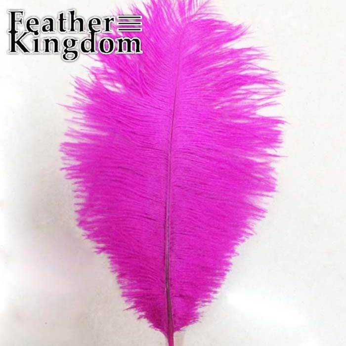 rose ostrich feather