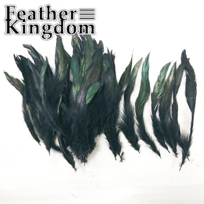 black cock feather