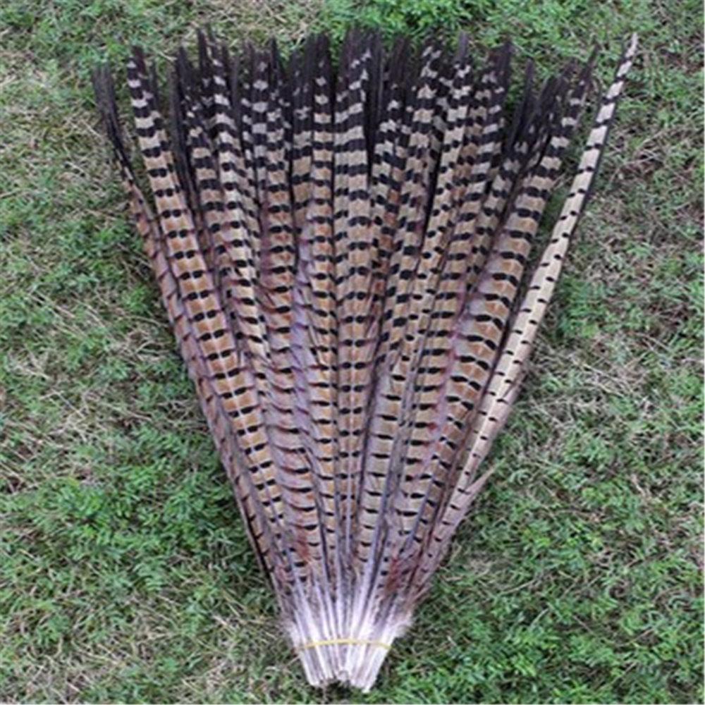 Popular Pheasant Feather Crafts-Buy Cheap Pheasant Feather Crafts Lots ...