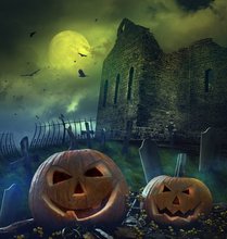 5x7ft Thin vinyl cloth photography costume custom halloween backdrop photo studio free shipping HA-006