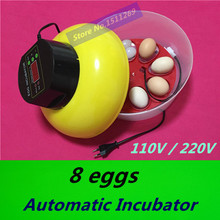 2015 Mini Automatic Incubator 8 eggs Duck Goose Bird Incubator Family hatch tool Experimental Teaching Equipment Free shipping