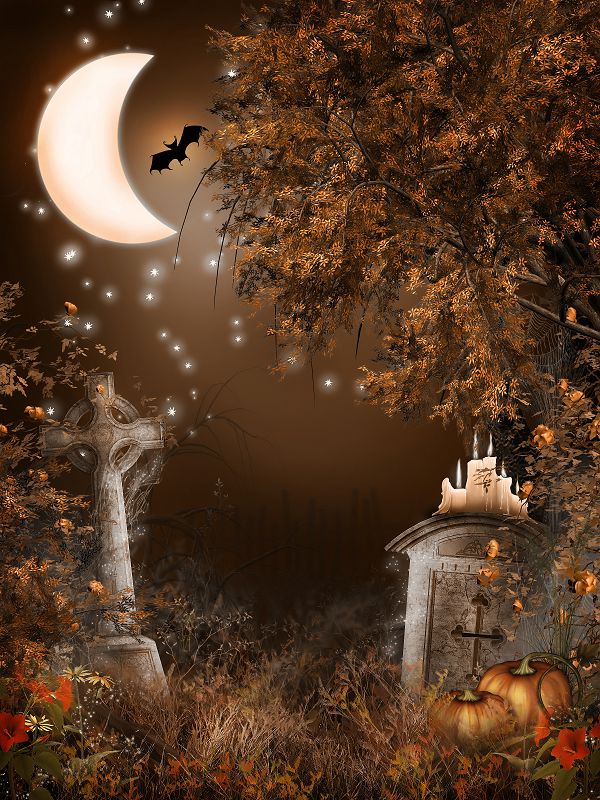 Здесь можно купить  300cm*600cm(10x20ft) background halloween  Moon Candle Pumpkin  photo shoot background ZJ  Бытовая электроника