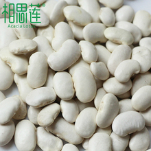 White kidney bean Bai Dou Bai Dou Bai Yundou 500 grams of whole grains beans farm