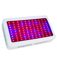300w LED Grow Lights Full Spectrum Hydroponic Systems Best for Medicinal Plant Growth Flowering