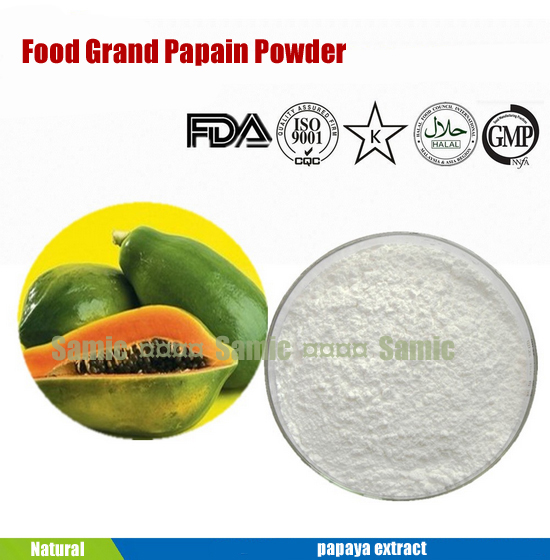 papaya leaves extract as meat tender papaya leaves extract as meat tender