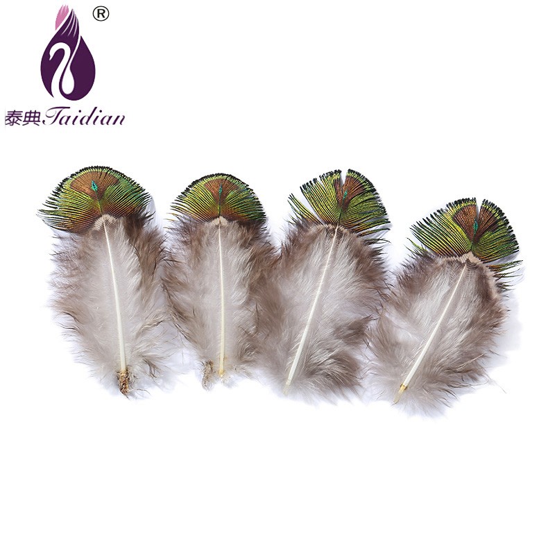 Peacock Feather decorative feathers cheap feathers feathers for sale