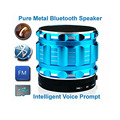 Portable Mini Bluetooth Speakers Metal Steel Wireless Smart Speaker Hands Free with FM Radio Support support