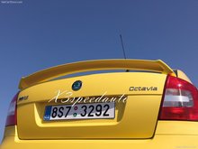 Праймер неокрашенный стиль абс спойлер для Skoda Octavia 2007