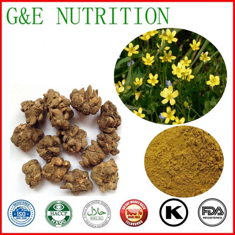 900g High quality Cat's claw/ radix ranunculi ternati/  buttercup root Extract with free shipping