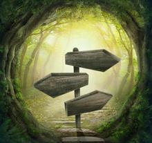 Fairy Tale 5*7ft Green Forest Wooden Signal Newborn Baby Photo Backdrops Background Studio Custom Background for Kids Photos