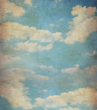 3X4ft free shipping vinyl cloth photography backdrops newborn computer Printing background for photo studio cm6717