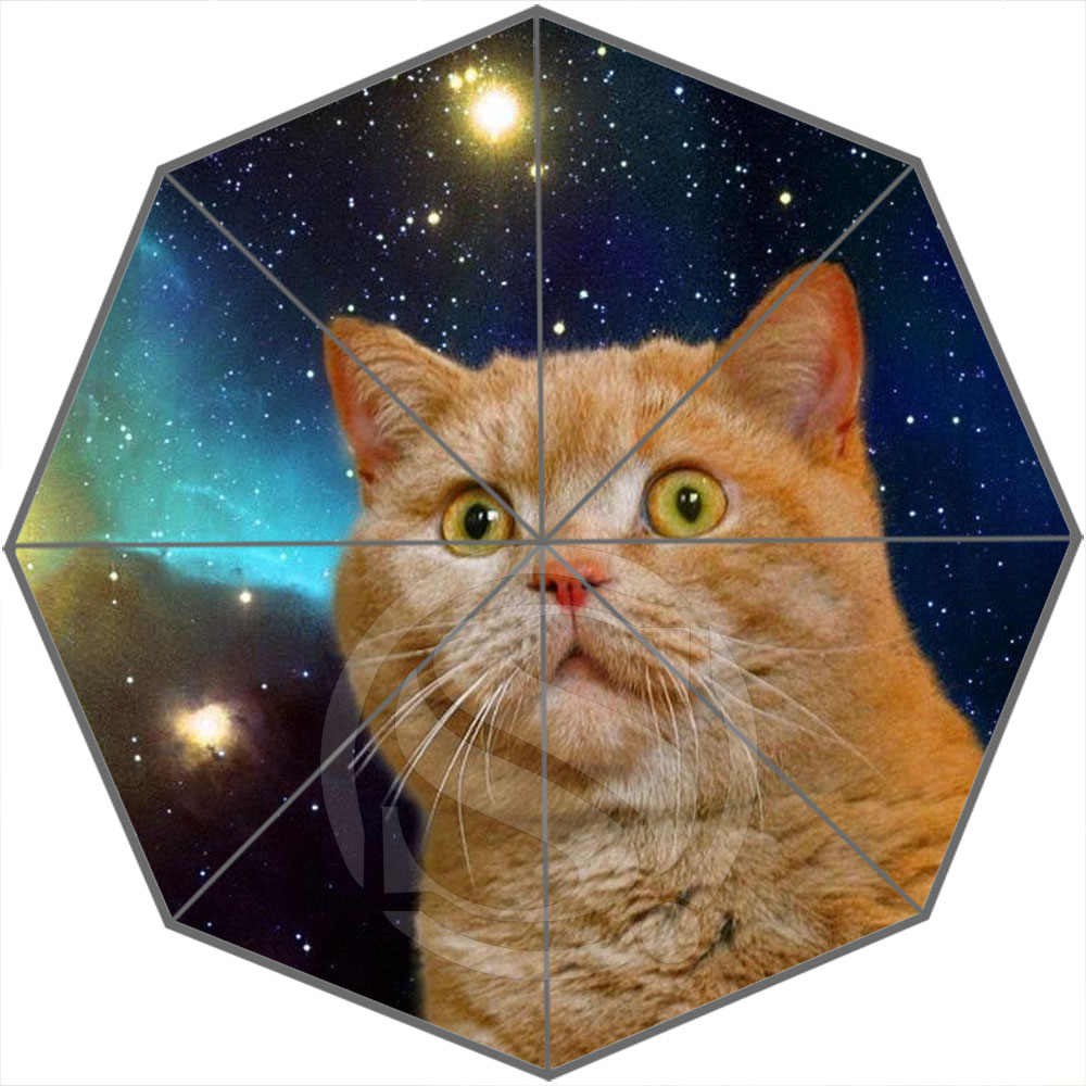           Space Cat  Galaxy  1     