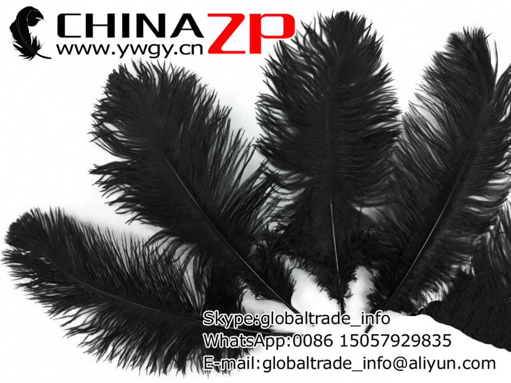 Chinazp   www.ywgy.cn 45 ~ 50  ( 18 ~ 20  )  50 ./    -   