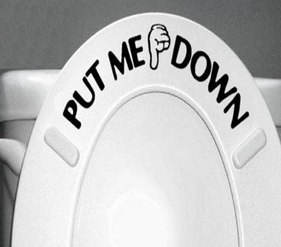 Put Me Down Bathroom Toilet Seat Vinyl Decal Sticker Sign Reminder Home Decor Ebay