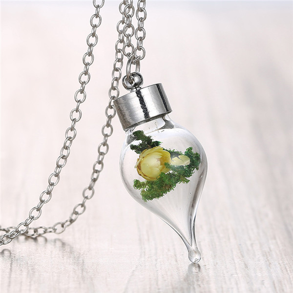 2015 date visuelle Unique collier pissenlit mignon et sec fleur algues en ampoule pendentif Long pull collier pour femmes / homm.