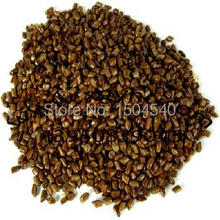 Free shipping Cassia Seed Tea Premium Capsules Coffee Color Healthy Bitter Step down 100g 