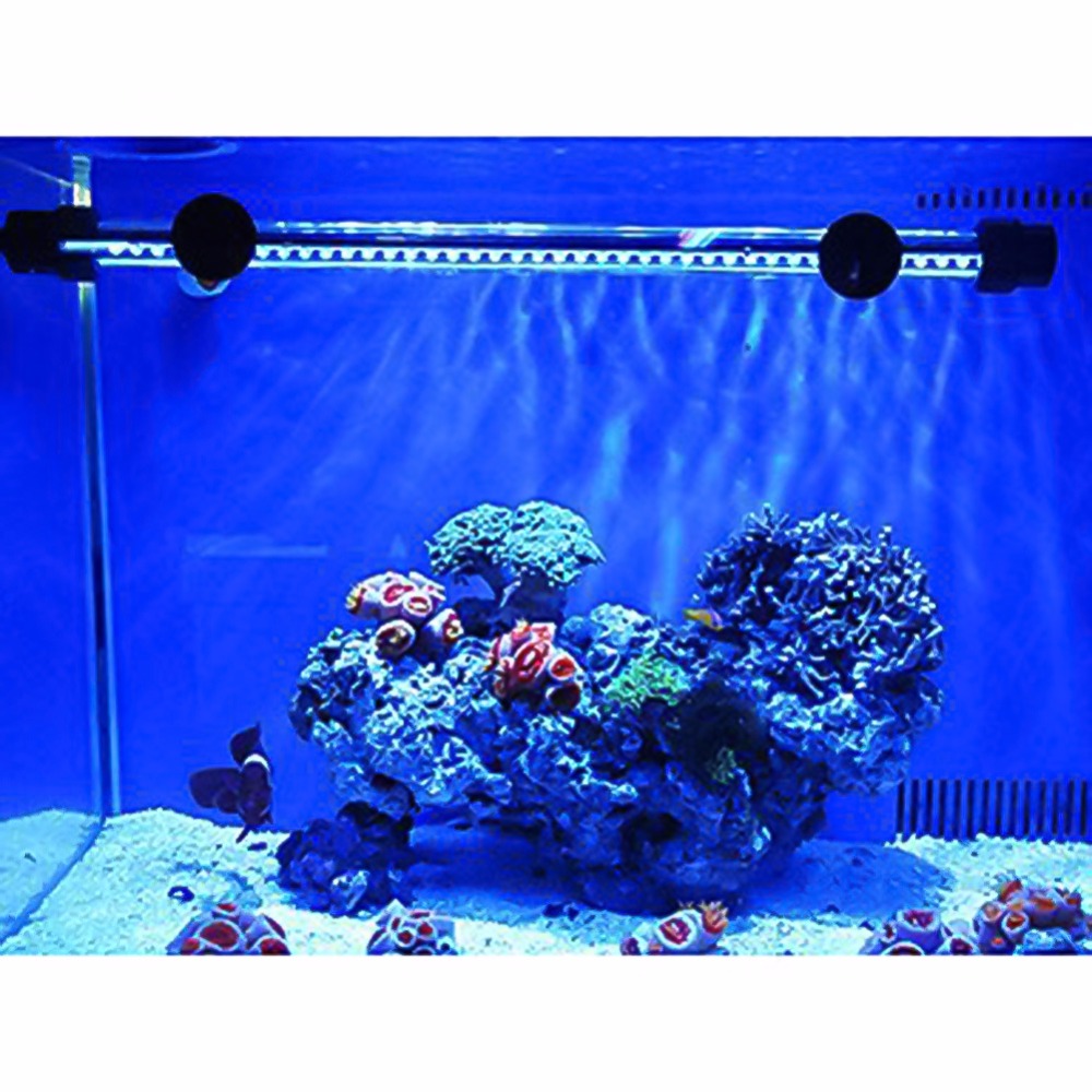     57 LED 4  48        Fish Tank,  plug