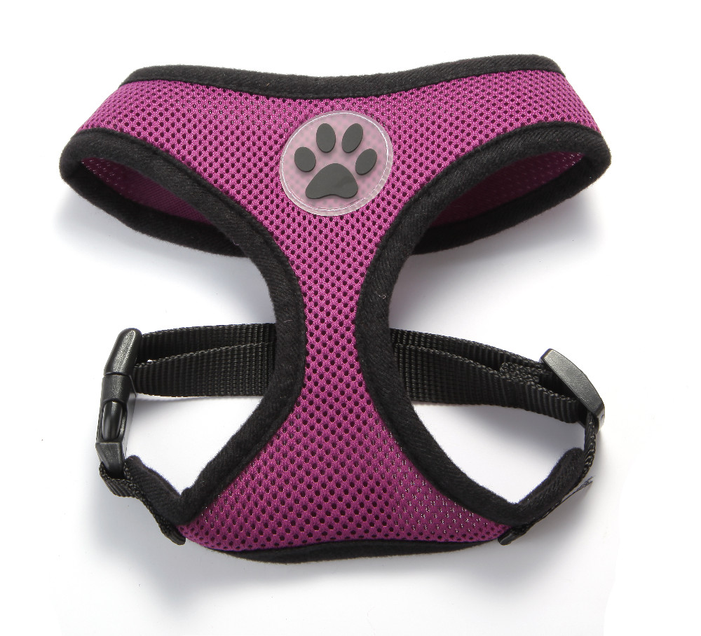 BB5001PURPLE