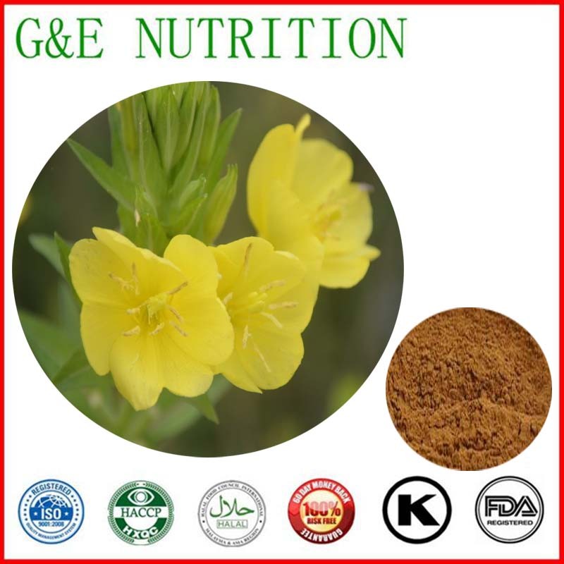 700g Lowest price Oenothera biennis/ Evening Primrose/ Onagre bisannuelle/ scabish Extract with free shipping