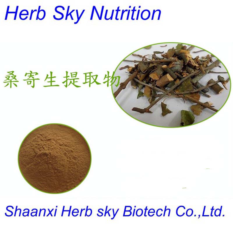 Natural10:1 ratio extract loranthus parasiticus extract 100g/lot