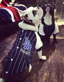 2016 Pet Dog Clothes Soft Cotton French Bulldog Hoodies Teddy Chihuahua Dog Coat Jacket Baseball Clothes