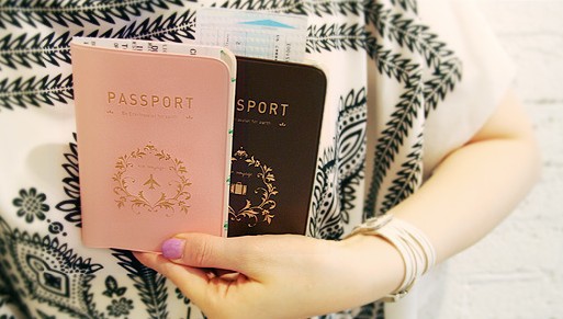 Free Shipping 1pc Fashion New Passport Holder Documents Bag Sweet Trojan Travel Passport Cover Card Case