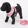 Pet Dog Adjustable Collar and Leads Cat Leopard Harness Cute Safety Control Size S M for