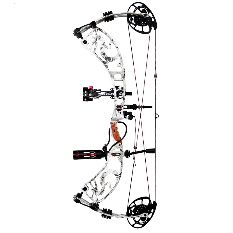 Black version Hunting bow arrow set with excellent design compound bow China archery set hunting compound