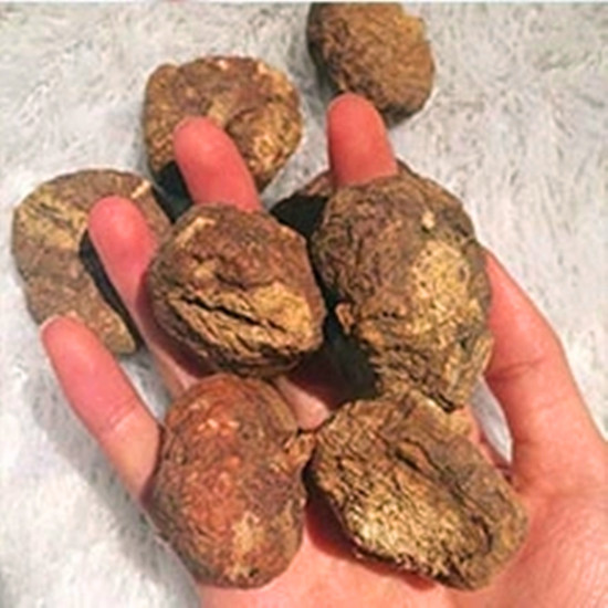 Dried fruit Gold secret Luma Ka Yunnan dry genuine improve sexual health tea 50 Kemah card