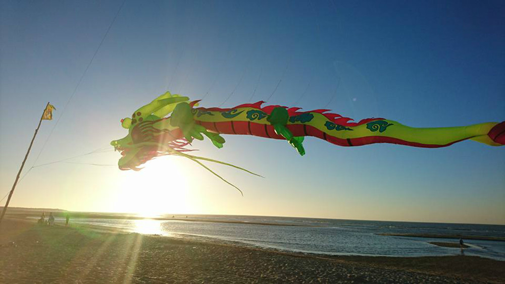 13935136_1009763919139194_3523806543476803261_n