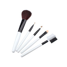 Sada 5 ks profesionálních štětců na make up