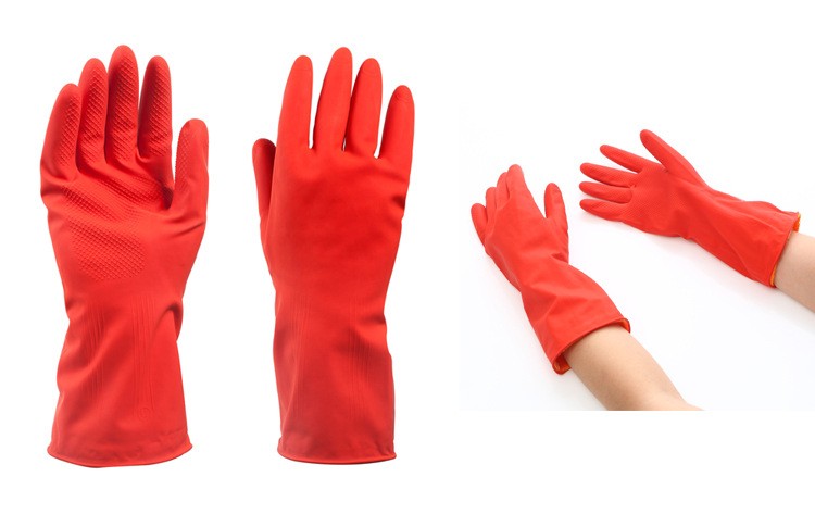 1983446337_1144542633