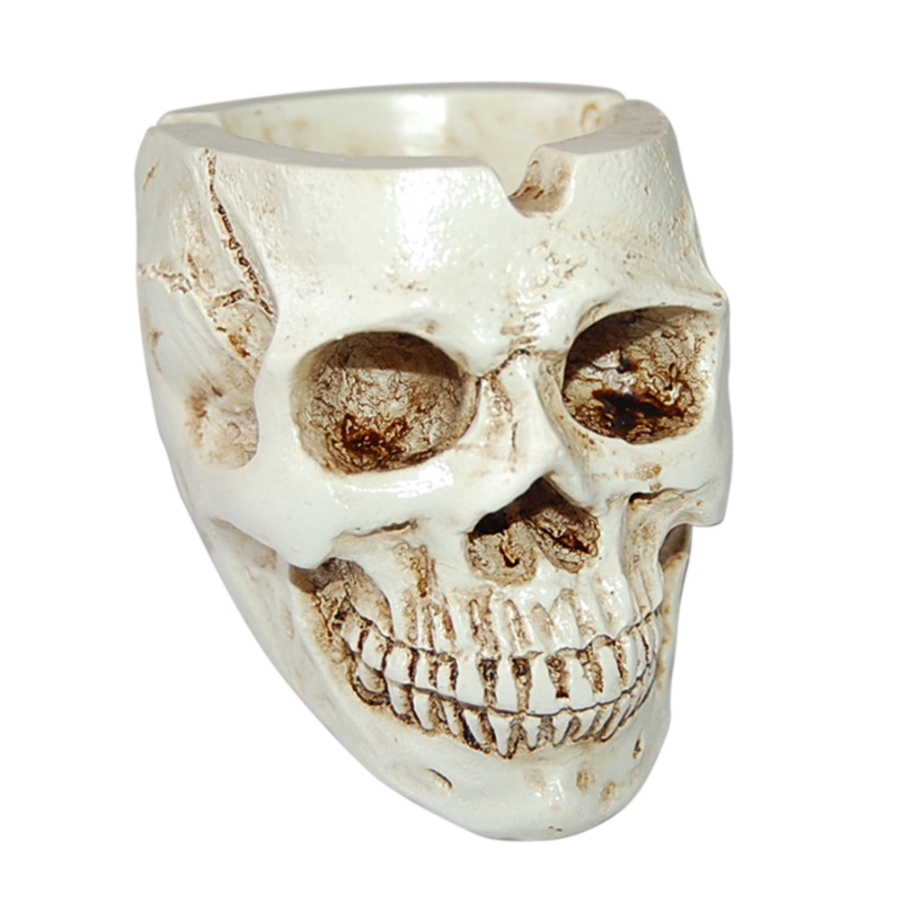 Image result for Human Skulls For Sale China