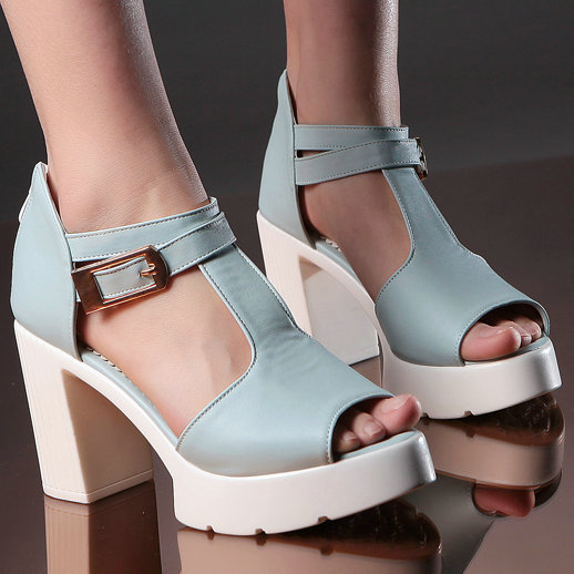 http://g02.a.alicdn.com/kf/HTB1HAFkIXXXXXXoXFXXq6xXFXXXq/T-Straps-Platform-high-heeled-sandal-shoes-woman-2015-open-toe-cutouts-buckle-straps-font-b.jpg