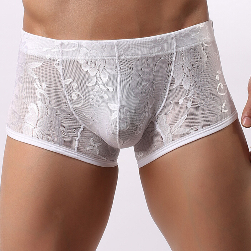 M XL New Men Underwear Pants Transparent Lace Sexy Low Waist Breathable Briefs