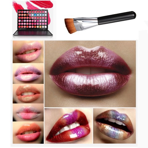 Free Shipping 66 Colors Makeup Cosmetic Lip Gloss Lipstick Palette 163 Flat Contour Brush K5BO