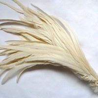 beige white rooster feathers