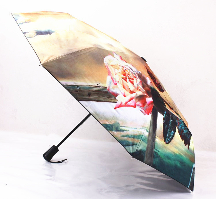UMbrella guarda chuva paraguas04.jpg