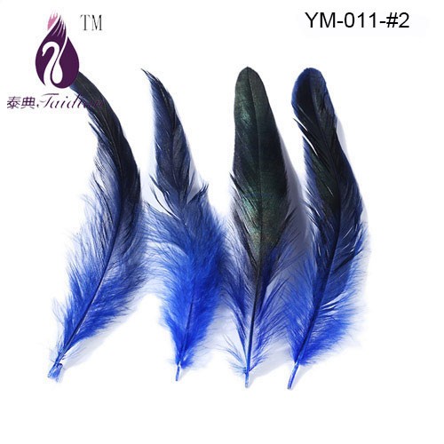 Rooster feather-2