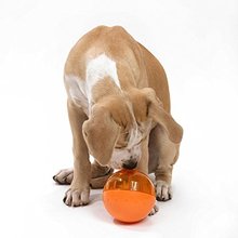 5.3 »продукты Для Домашних Животных, Домашних Животных Умнее Интерактивные IQ Обработать Мяч Игрушка Собака Собака Кормушки Обучение Собаки