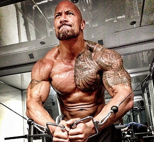 are tattoos for beta males superiormuscle com bodybuilding forums are tattoos for beta males superiormuscle com bodybuilding forums