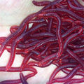50Pcs 4cm Simulation Earthworm Worms Artificial Fishing Lure Tackle Soft Bait Lifelike Fishy Smell Lures Red