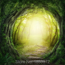 150X220CM Customize free shipping Thin vinyl cloth photography backdrop computer Printing background for photo studio F-173