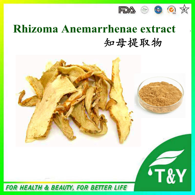 Best price rhizoma anemarrhenae extract good supplier 800g/lot