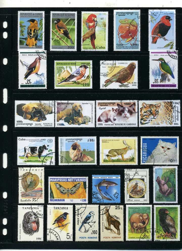 Comentarios de los clientes